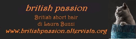 http://www.britishpassion.altervista.org